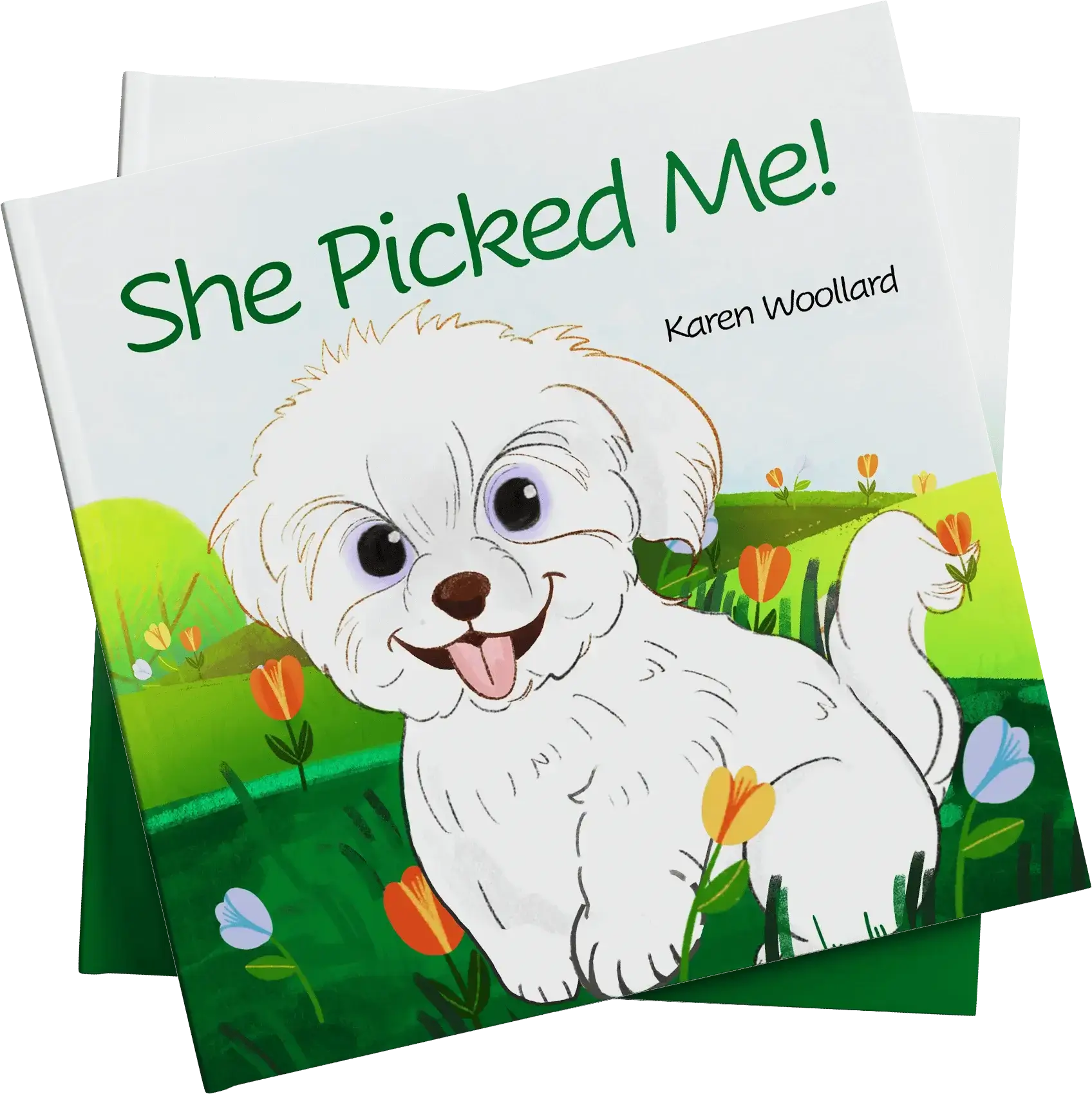 Scholistic Publishers